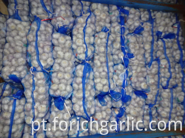 Good Quality Normal Garlic From Jinxiang